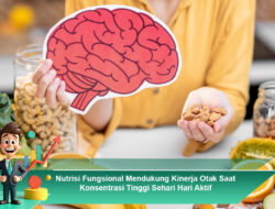 Nutrisi Fungsional Mendukung Kinerja Otak Saat Konsentrasi Tinggi Sehari Hari Aktif