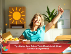 Tips Harian Agar Tubuh Tidak Mudah Lelah Meski Aktivitas Sangat Padat